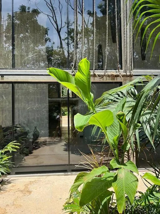 Best Location Studio Tulum Mexico